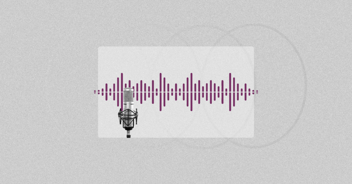 (Transcriere) Ședința primăriei din 8 decembrie 2025 Image